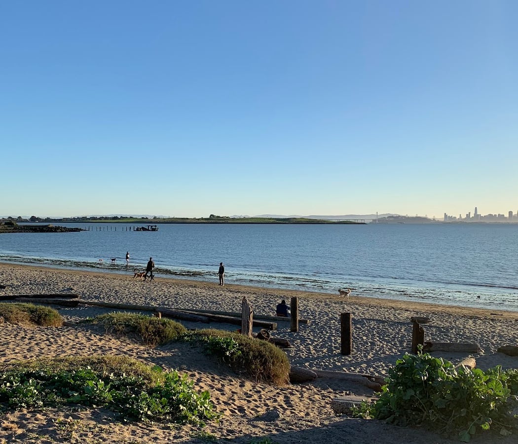 Albany Waterfront Trail 3