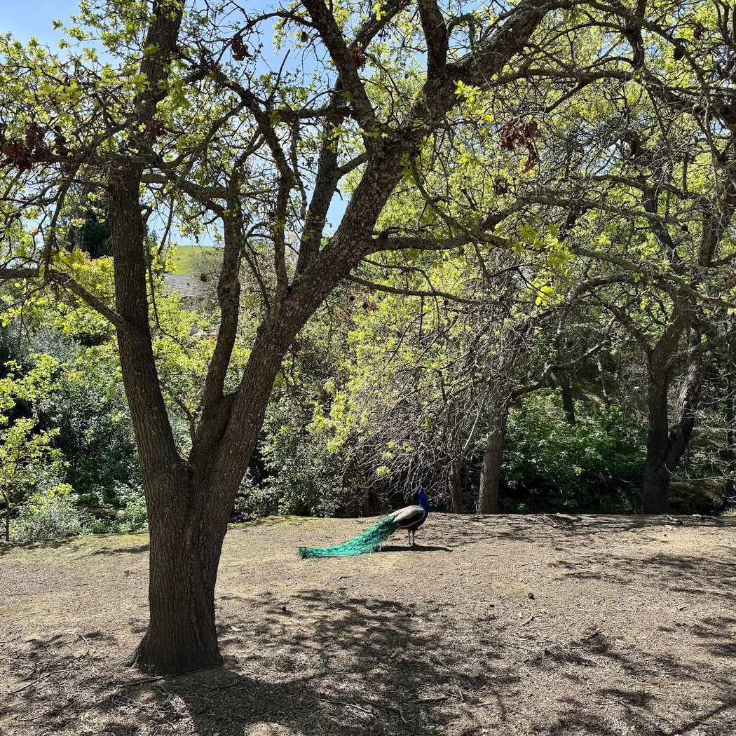 Dunnell Nature Park and Education Center (Dunnell Park) 1