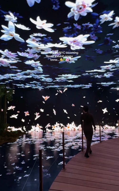 The Forest Within 1
