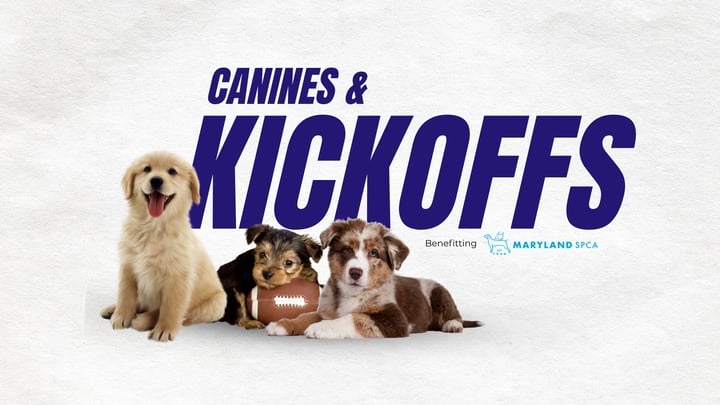 Canines & Kickoffs