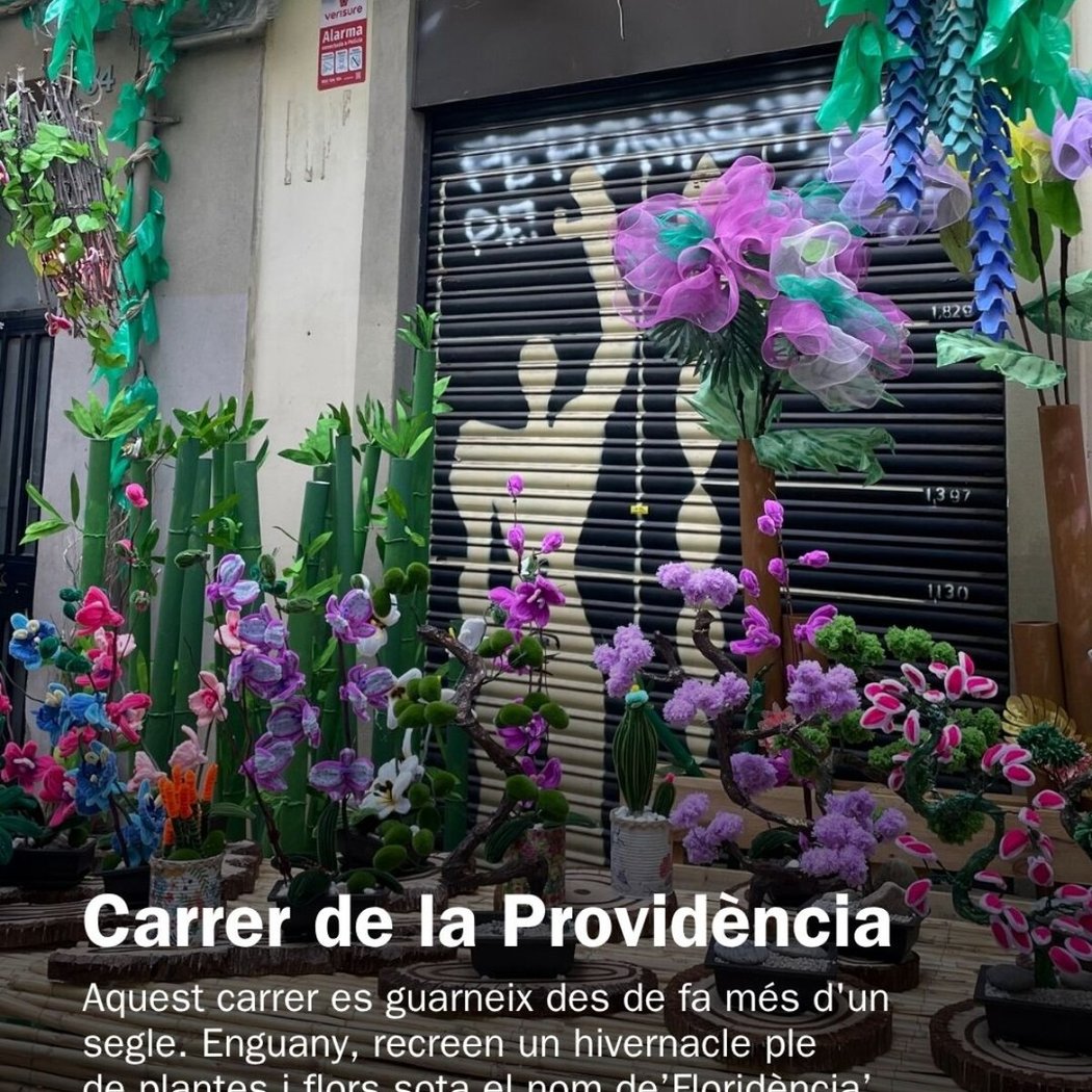 Carrer de la Providència