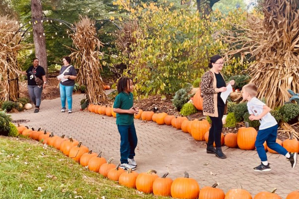 Pumpkin Path Display 2