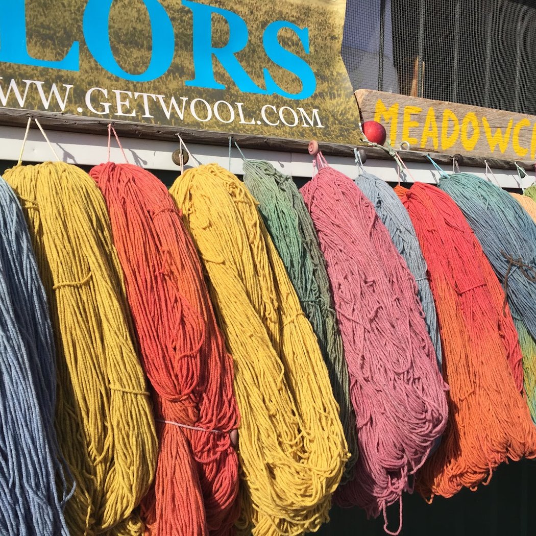 Sheep & Wool Festival 1