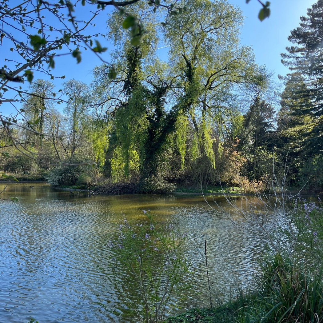 Lac de Saint-Mandé 2
