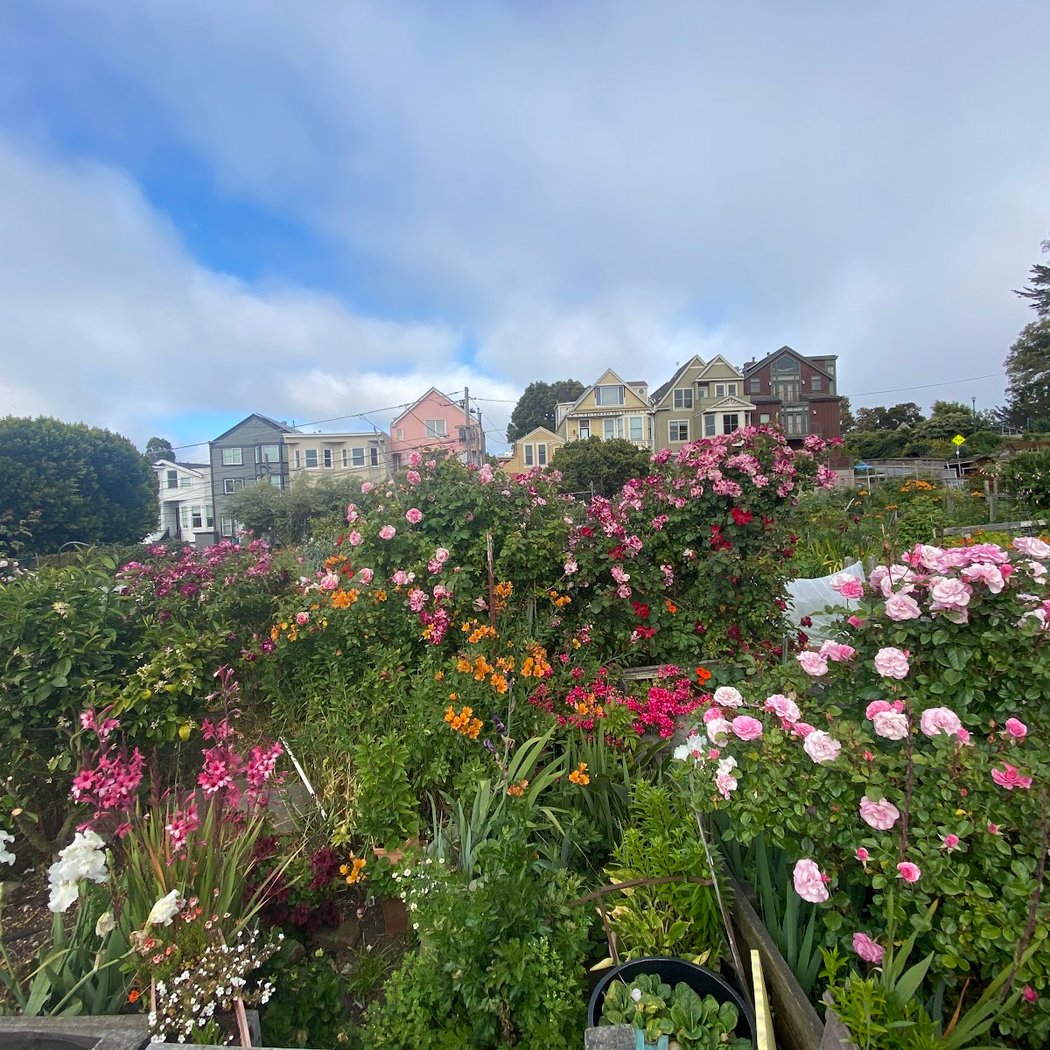 Potrero Hill Community Garden 3