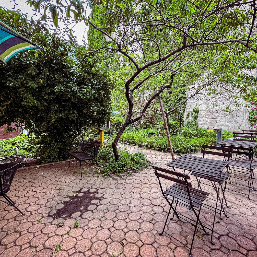 Peach Tree Garden 3