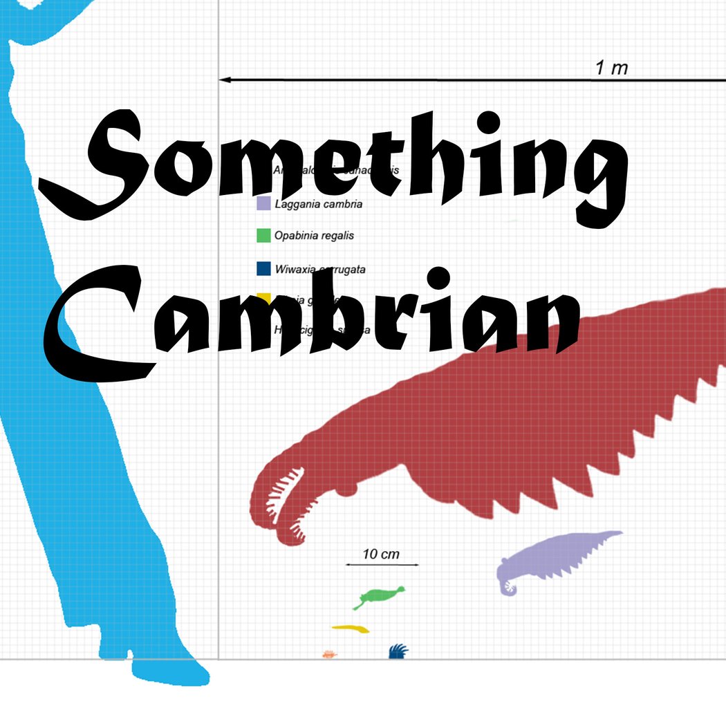 Something Cambrian: New sound works by Maxime Rossi, Nathan Gray and Naïmé Perrette 1