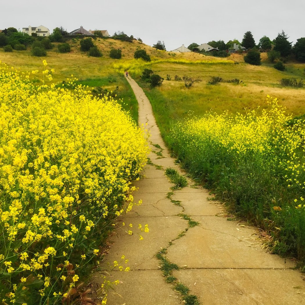 Braito Open Space 2