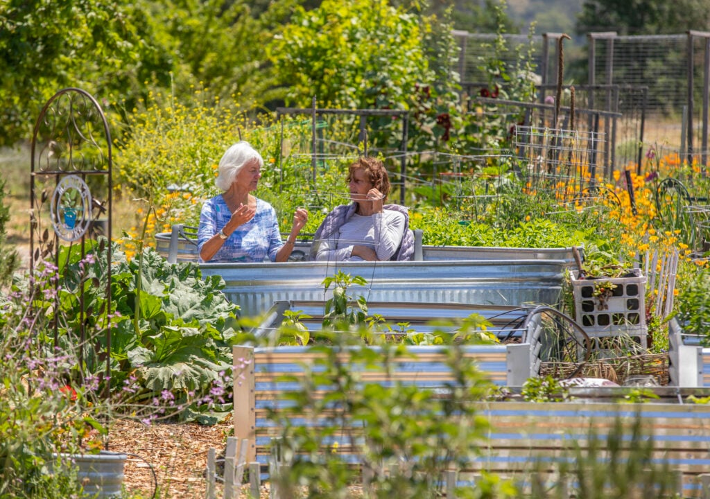 Sonoma Garden Park 2