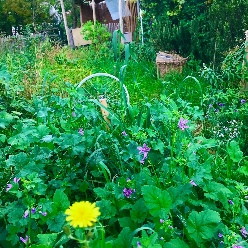 Le jardin des rails 5