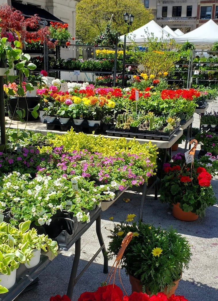 Mount Sinai Greenmarket 3