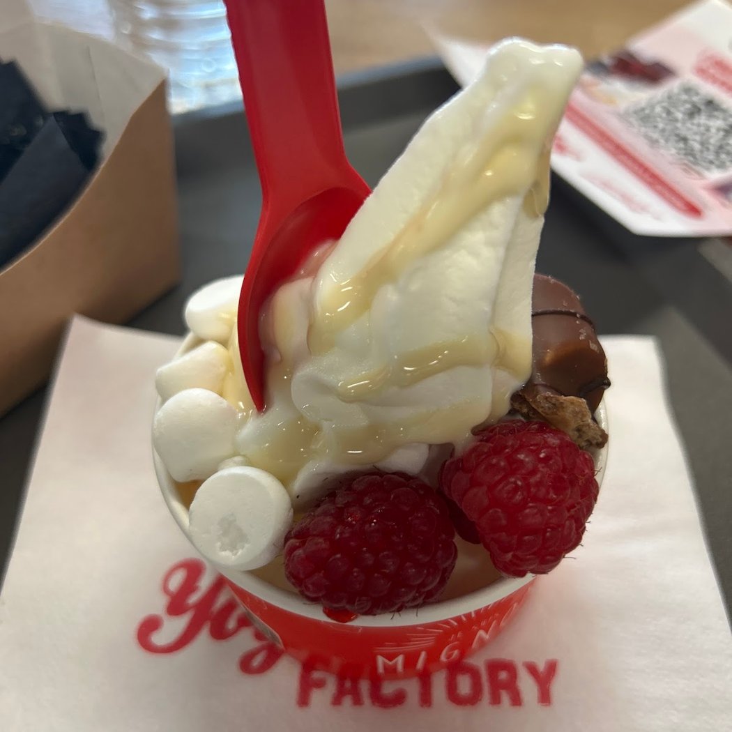 Yogurt Factory La Roche-sur-Yon 2
