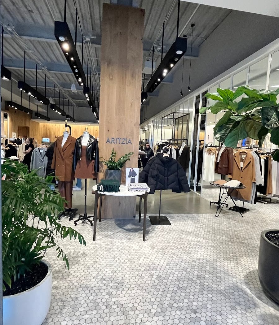Aritzia 3