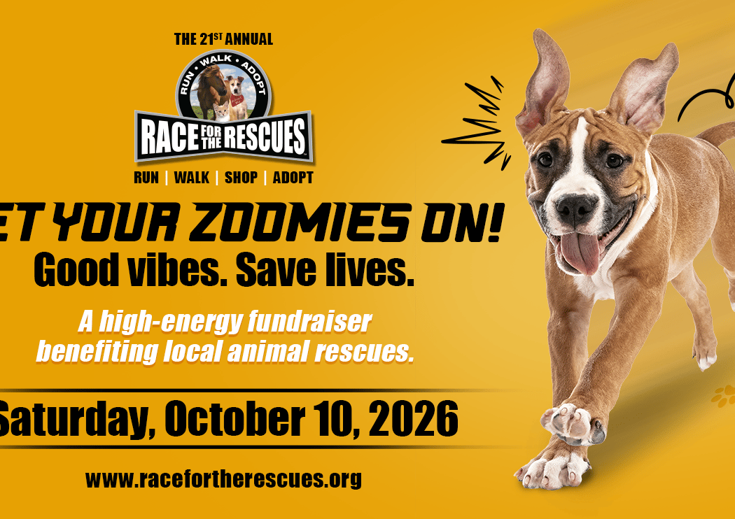 Race for the Rescues 2