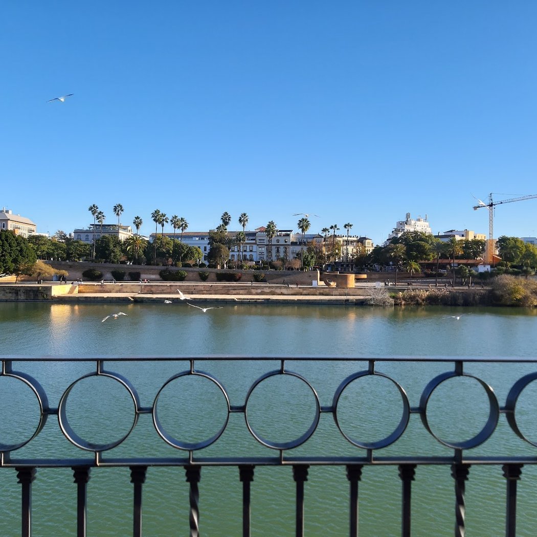 Velá de Santiago y Santa Ana 3