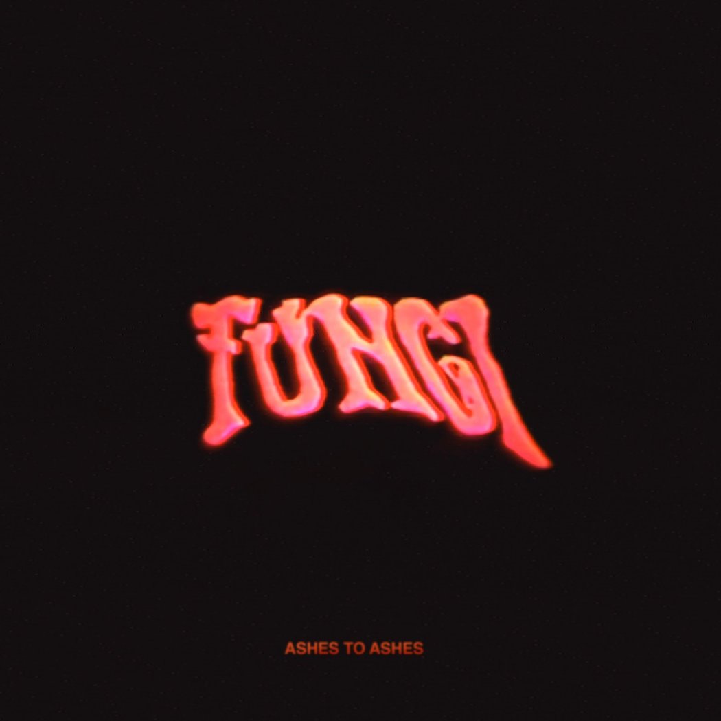 FUNGI 1