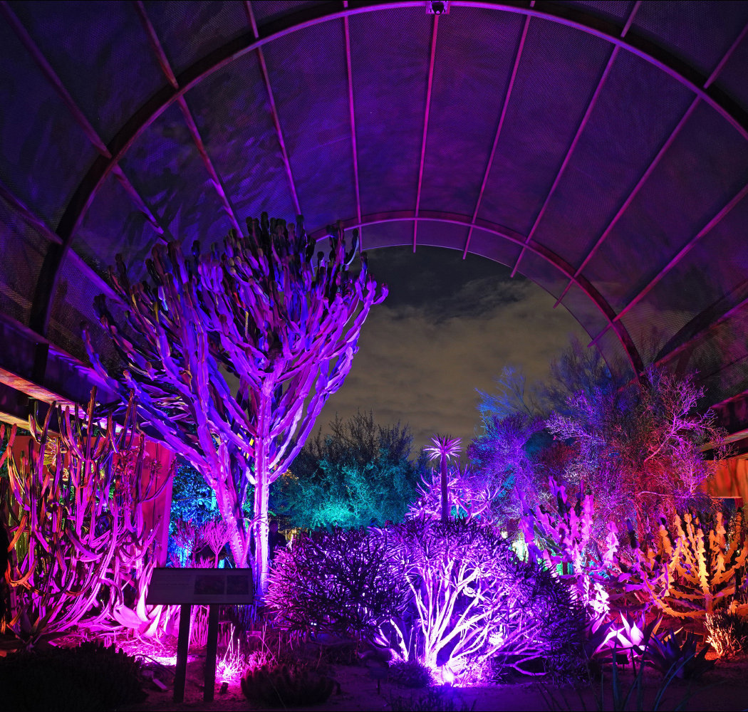 Classical Under the Stars