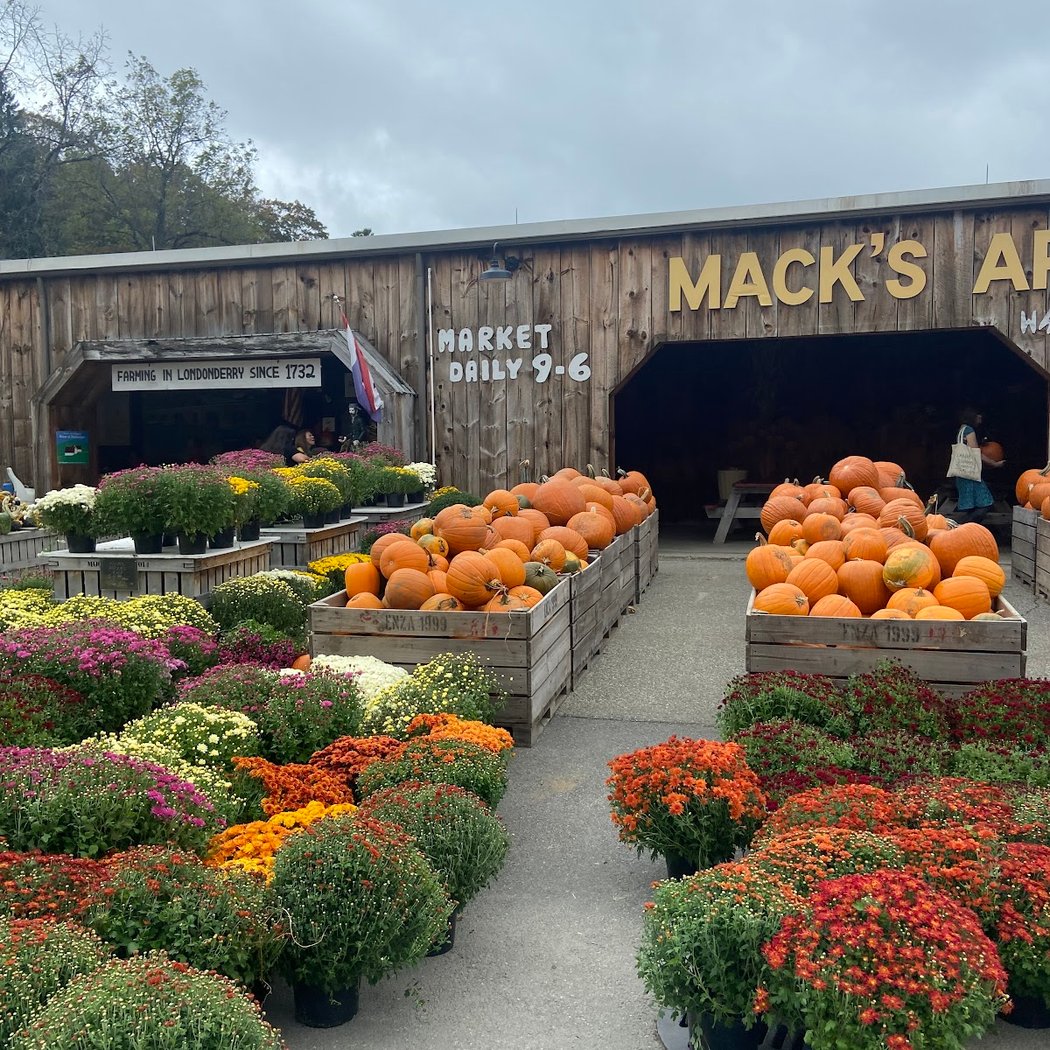 Mack's Apples 3