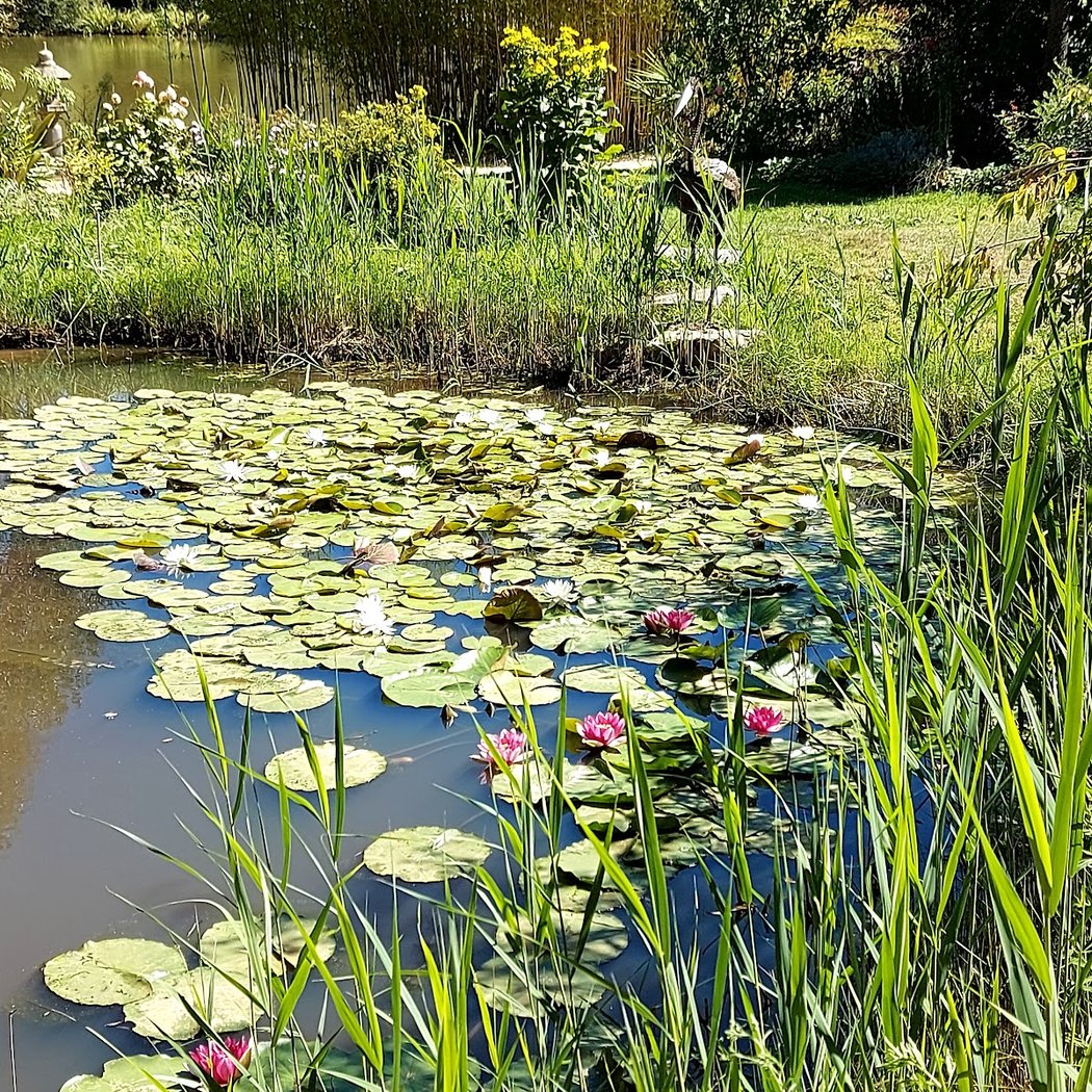 Les Jardins du Loriot 3