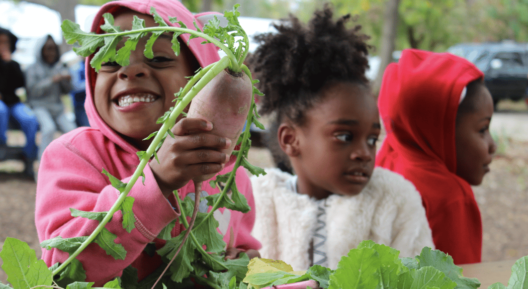 Ferguson Farmers Market 3