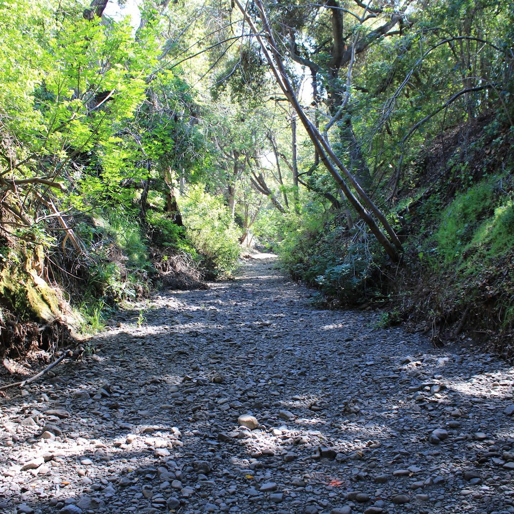 Stevens Creek Trail - Yuba Drive Trailhead 3