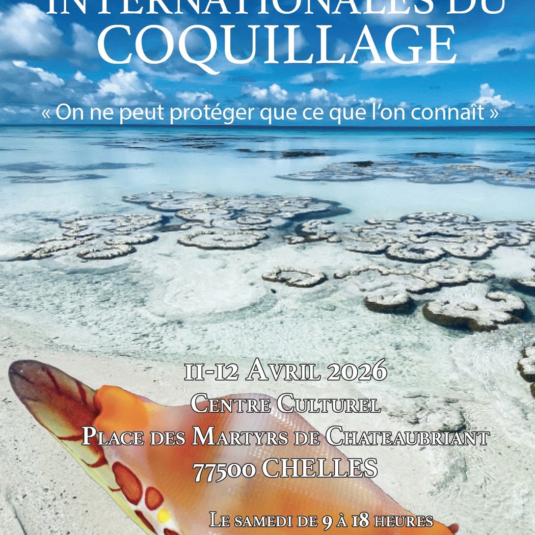 Rencontres Internationales du Coquillage 1