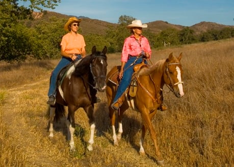 Equestrian Ride: Discover The Natural Wonders Of Weir Canyon 3