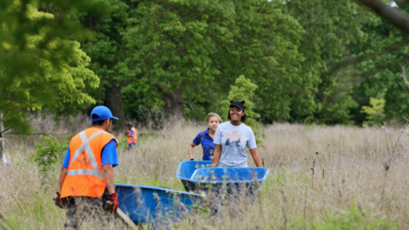 Clark Park Natural Area Stewardship Workday 1