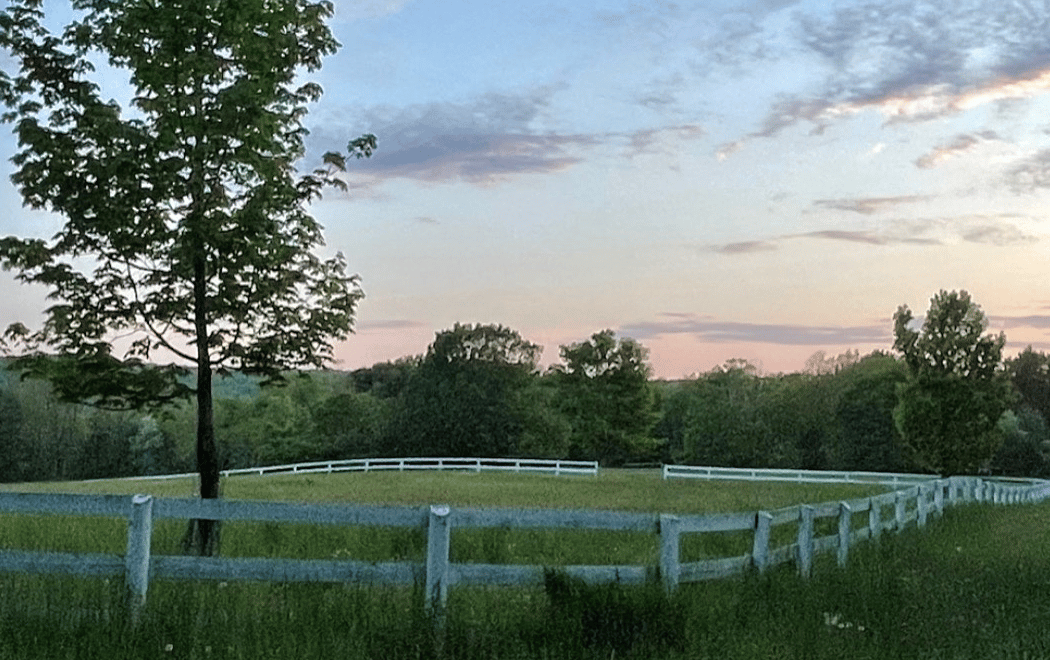 Silverbrook Manor 2