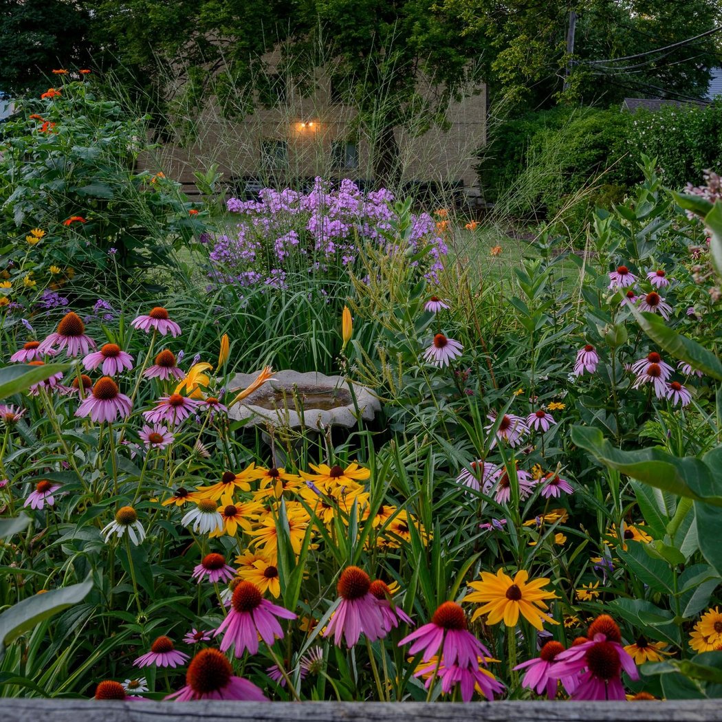 Native Plants & Pollinator Gardens 1
