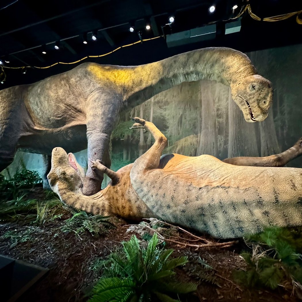 Edelman Fossil Park & Museum of Rowan University 2