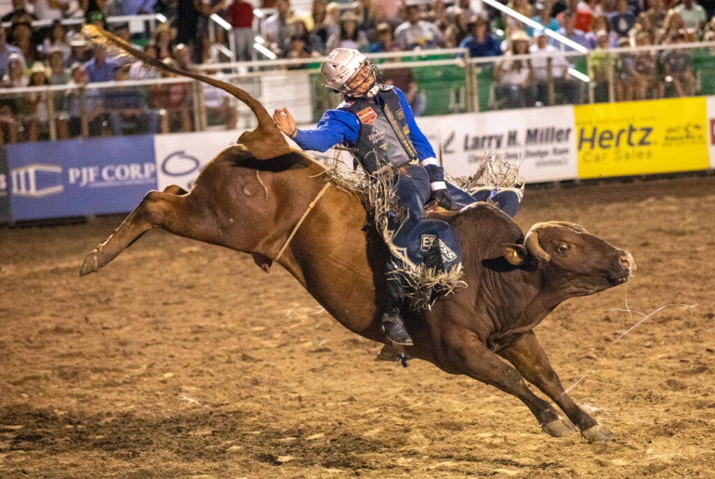 Lerner & Rowe 406 Rodeo 1