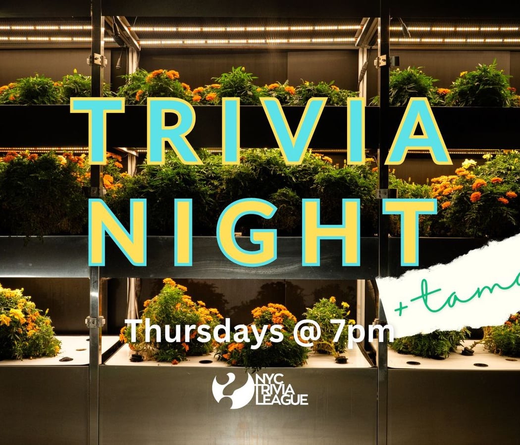 Trivia & Tamales 1