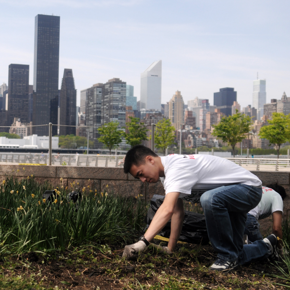New York Cares 1