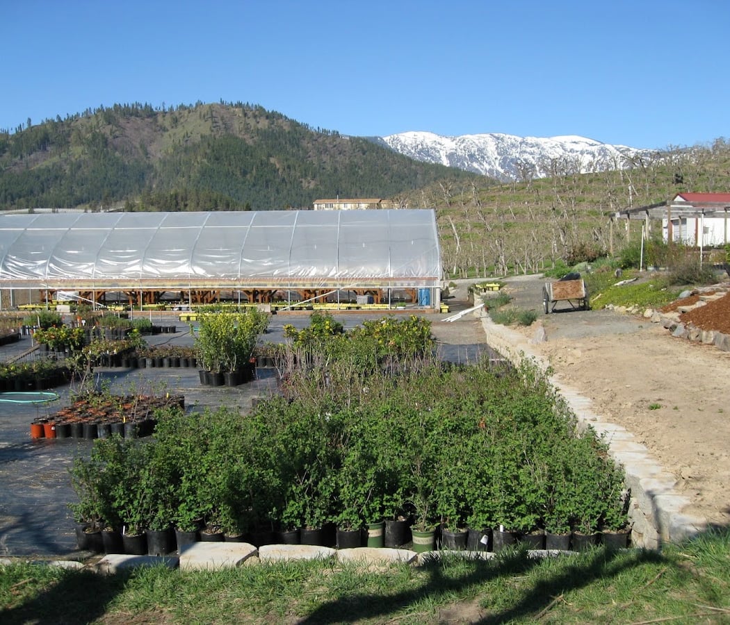 Derby Canyon Natives 1