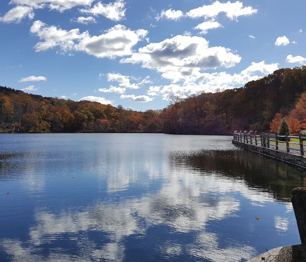 Guided Tour of Cold Spring Harbor Fish Hatchery & Aquarium 4