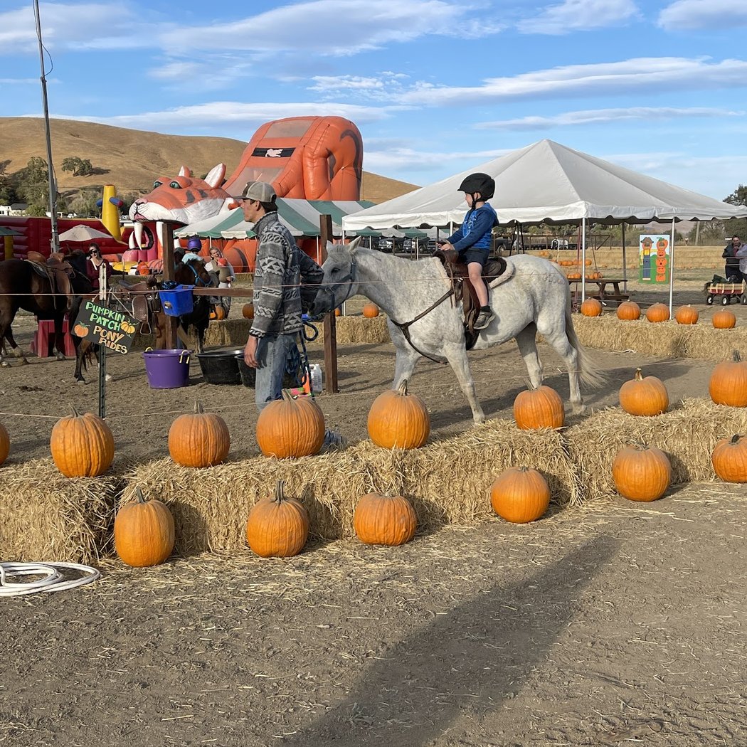 Mickelson Pumpkin Patch 3