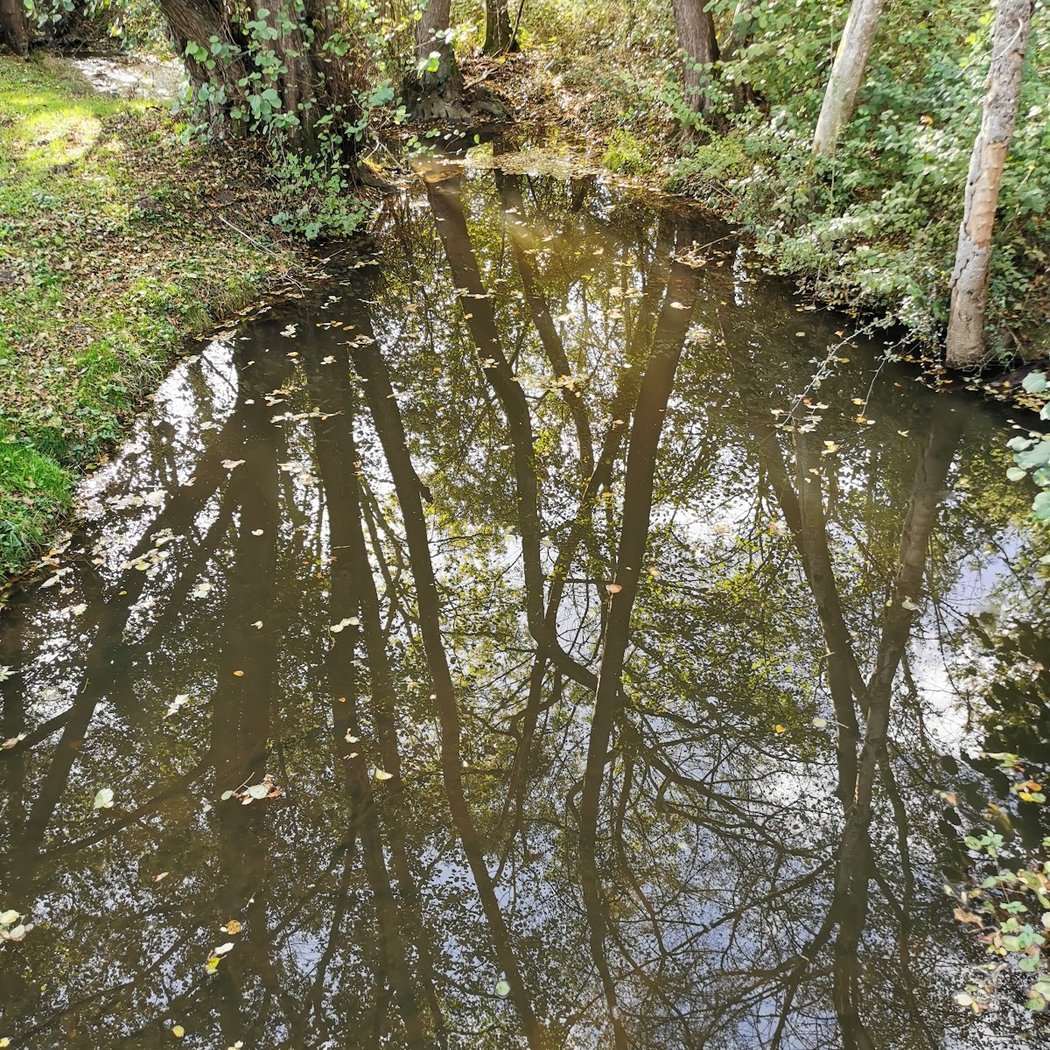 Bléneau 1