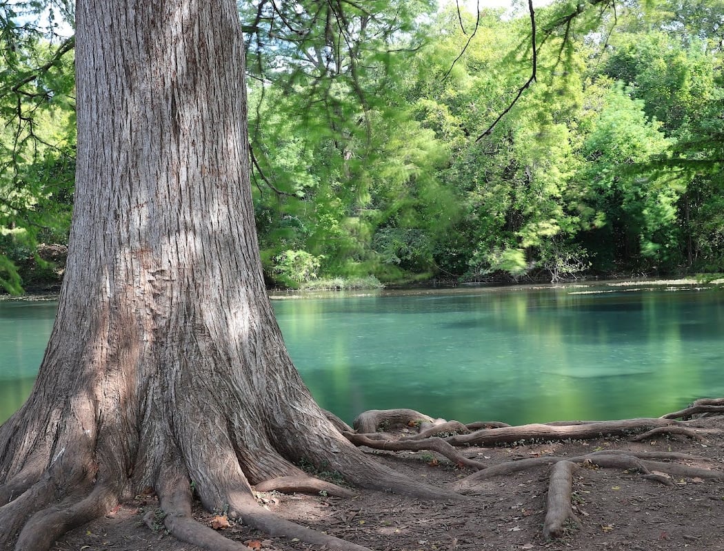 Rio Vista Park 2