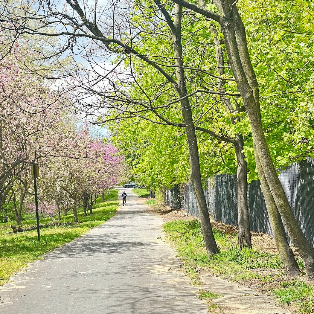 Leif Ericson Park 1