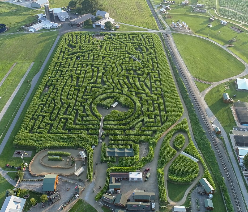 Corn Maze at Broemmelsiek Park 3