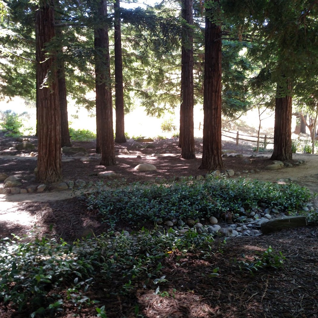 Jack Hume Grove 2