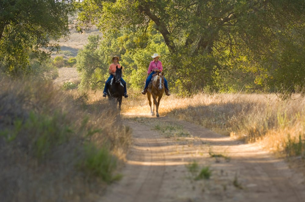 Equestrian Ride: Discover The Natural Wonders Of Weir Canyon 2
