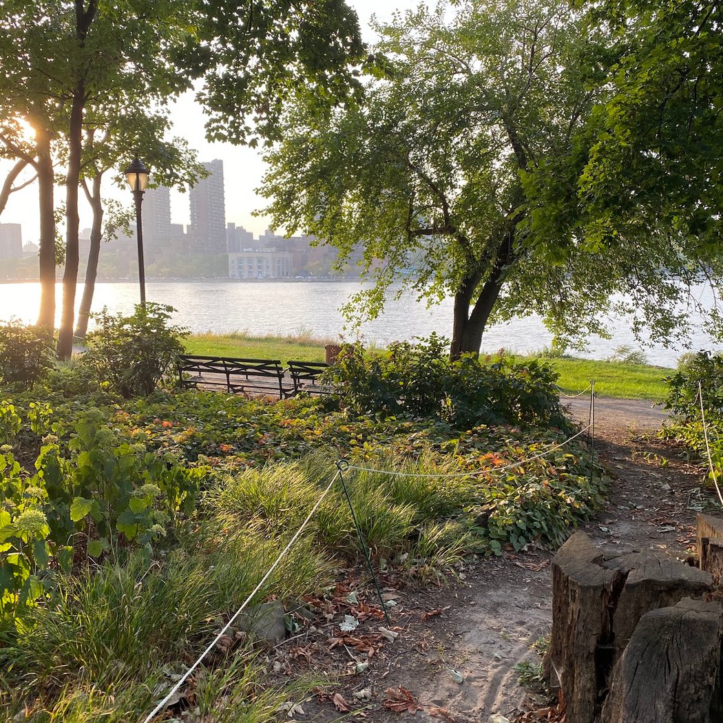 Water's Edge Garden 3