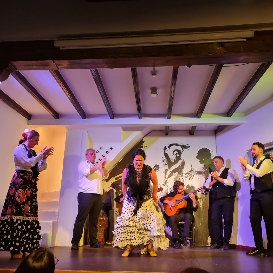 Espectáculo Flamenco 4