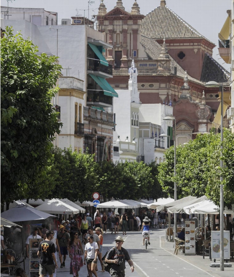 Calle San Jacinto 1
