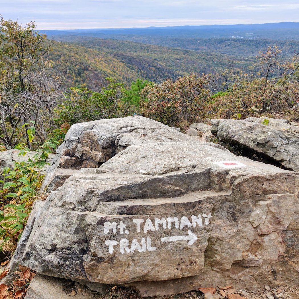 Mount Tammany 2