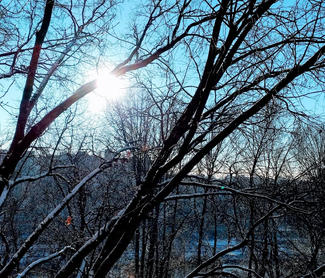 Harlem River Park 4