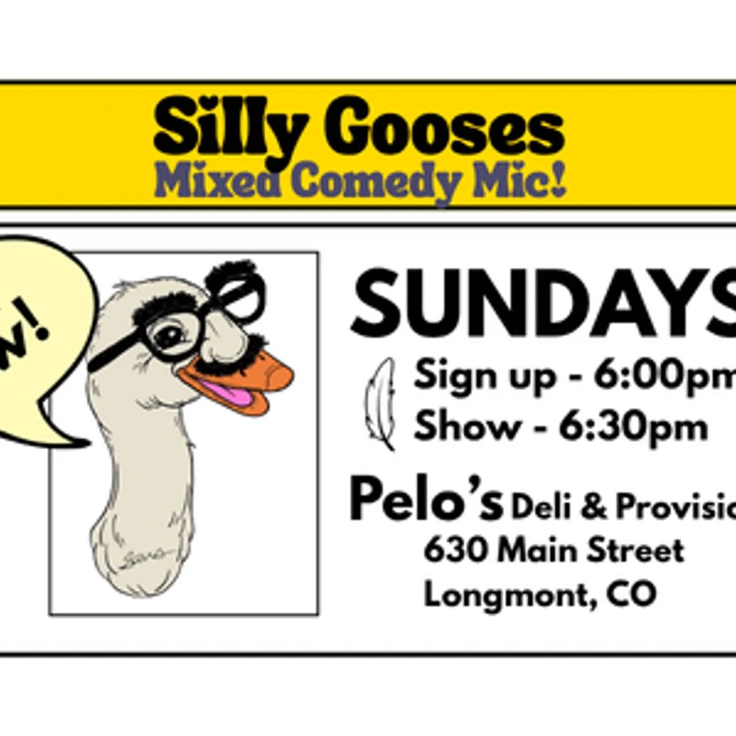 Silly Gooses: Mixed Comedy Mic 1