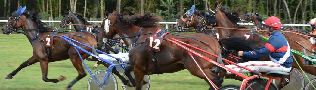 Courses hippiques